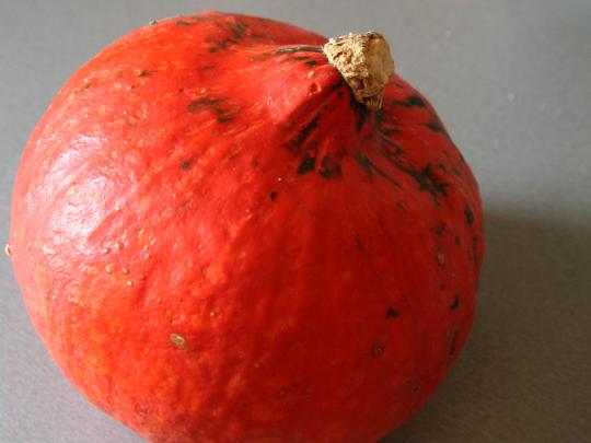 olivový