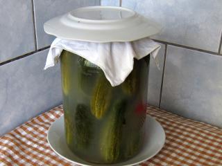 Kvašáky - kvasené uhorky